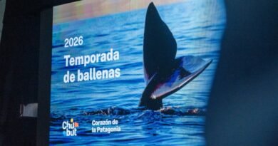 Chubut inauguró la Temporada de Ballenas 2026