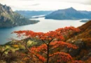 Junín de los Andes, un destino para disfrutar el invierno entre la nieve y la gastronomía patagónica