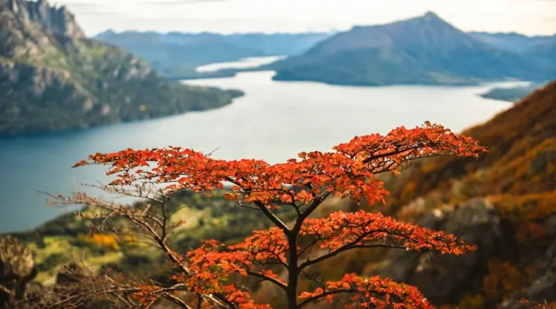 Junín de los Andes, un destino para disfrutar el invierno entre la nieve y la gastronomía patagónica