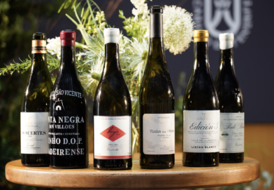 El vino insular se consolida como una categoría global en Island Wines Summit Tenerife