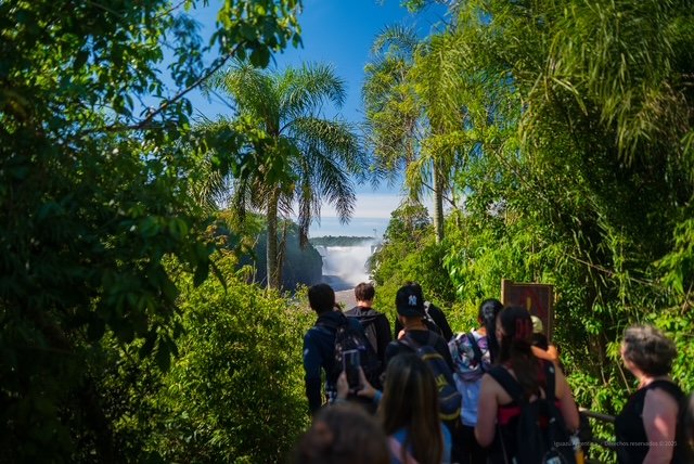 Más allá de las Cataratas: experiencias para conectar con la naturaleza en el Parque Nacional Iguazú
