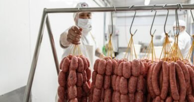 La carne argentina cambia de plato: menos cantidad, más rendimiento y nuevos cortes que ganan lugar