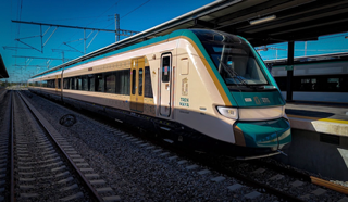 La arqueología y las experiencias del Caribe Mexicano conectadas por El Tren Maya